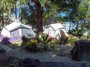 4 to 8 person house tent available for stay